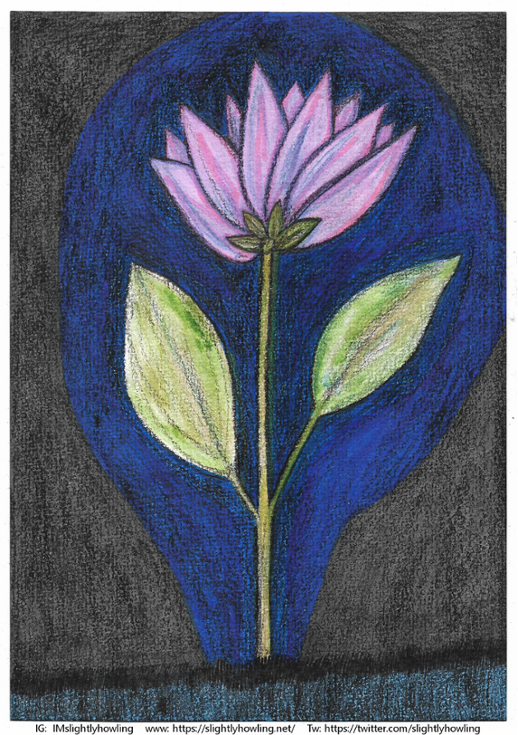 Pink flower on dark background. Contact info on the lower edge. (Same as on the blog).